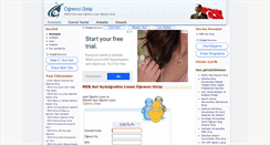 Desktop Screenshot of ogrencigirisi.net